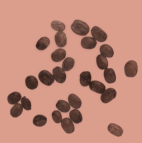 coffee beans